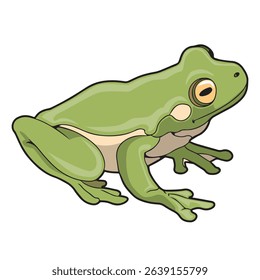 vector illustration of green frog in original appearances