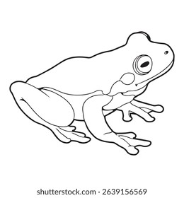 vector illustration of green frog in outline appearances