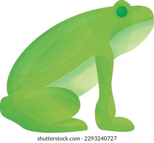 Vector illustration of a green frog, perfect for children's books and nature related projects. Amphibian.