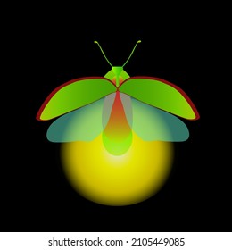 Vector illustration of a green glowworm isolated on a black background.