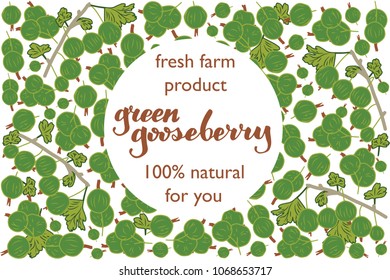 vector illustration of green gooseberry and leaf design with lettering green gooseberry background black and white and berry and text fresh farm product 100% natural for you EPS10