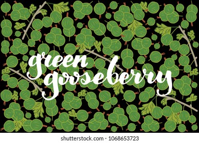 vector illustration of green gooseberry and leaf design with lettering green gooseberry background black and white and berry and text fresh farm product 100% natural for you EPS10