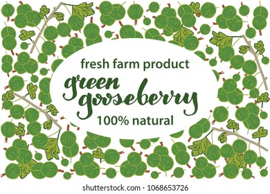 vector illustration of green gooseberry and leaf design with lettering green gooseberry background black and white and berry and text fresh farm product 100% natural for you EPS10