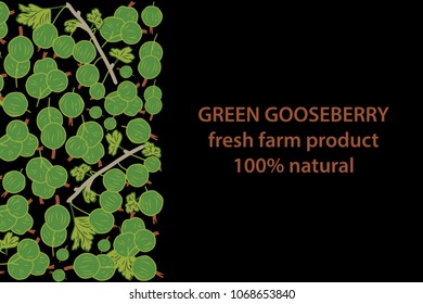 vector illustration of green gooseberry and leaf design background black and white and berry and text fresh farm product 100% natural EPS10