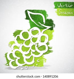 Vector illustration of green grapes