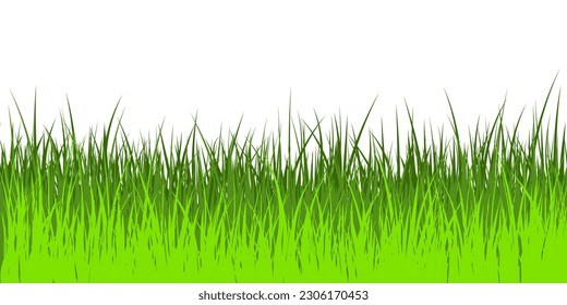 Vector illustration of green grass