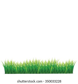Vector Illustration : Green grass