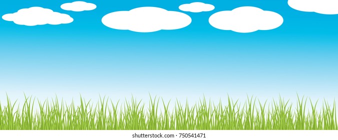Vector illustration of a green grass against the sky