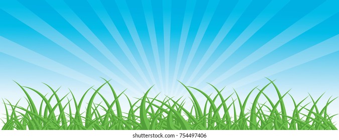Vector illustration of a green grass against the sky