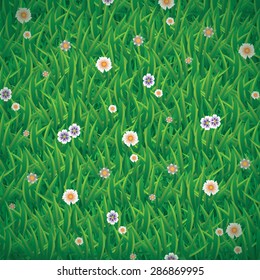 Vector illustration of green grass background with cute flowers