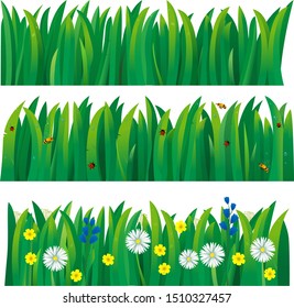 Vector illustration green grass with flowers. Green meadow.