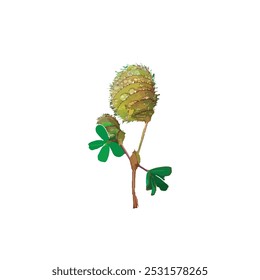 vector illustration of green grass flowers, on flowers, have raindrops on a white background, Suitable for designing various clothing and wall art decorations.