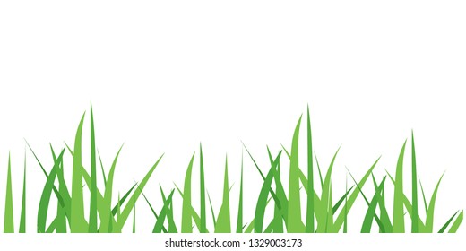 Vector illustration green grass isolated on white background. Spring fresh grass. Grass border