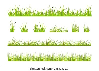 Vector illustration of green grass, natural grass elements isolated white background for templates