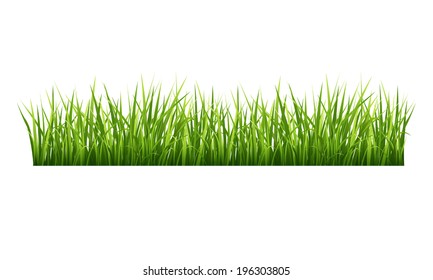 Vector illustration green grass on a white background
