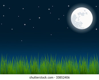vector illustration of green grass over the night sky
