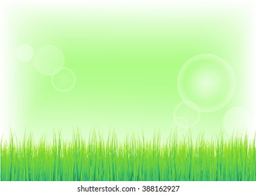 Vector illustration of Green Grass and Green sky background