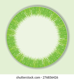 Vector illustration of green grass. White round inside