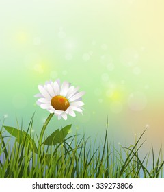 Vector illustration green grass and white flower. Spring nature field with Gerbera- Daisy flower at meadow and water drops dew on green leaves. Blue- green pastel color and bokeh effect background