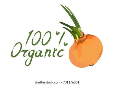 Vector illustration of green hand drawn lettering with onion on white background. 100 percents organic icon design.