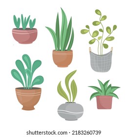 Vector illustration green home plants set on white isolated background