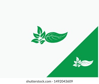 vector illustration of green leaf