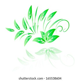 Vector illustration of Green leaf