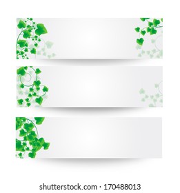 Vector illustration of Green leaf