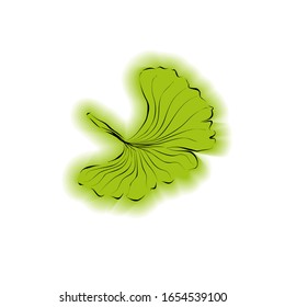 Vector illustration with a green leaf of biloba on a white background. Hand drawing biloba leaf. Template for health, medecine, fashion, cafe and other uses.