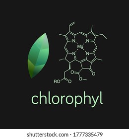 Vector illustration of green leaf and chlorophyll molecule.