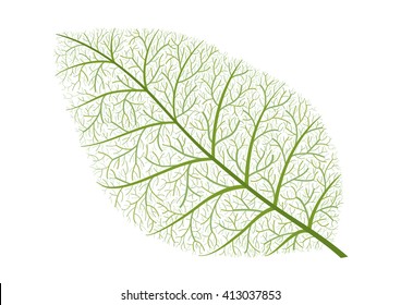 vector illustration of green leaf in detail