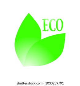 Vector illustration of green leaf with Eco text. Logo for organic food and products. EPS 10