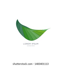 Vector Illustration Green Leaf for Go Green Logo