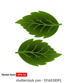 Vector illustration of green leaf isolated with handwriting