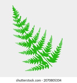 Vector illustration of green leaf isolated. Suitable for clip art, icon, or other creative design