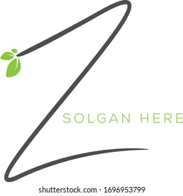 vector illustration of a green leaf and letter Z