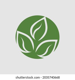 vector illustration of green leaf logo design at background gray