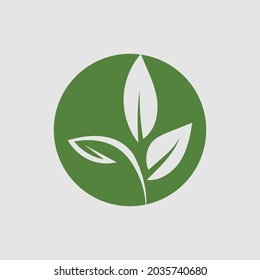 vector illustration of green leaf logo design at background gray