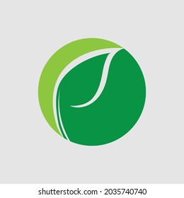 vector illustration of green leaf logo design at background gray