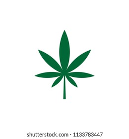 Vector illustration, green leaf marijuana, Seven leafs, Cannabis sativa forma indica, Cannabidaceae on white background