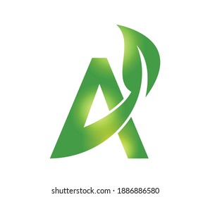 A Vector Illustration of Green Leaf Monogram Initial Letter A