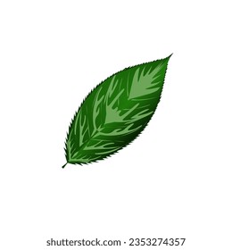 Ilustración vectorial de la hoja verde sobre fondo blanco