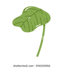 Vector illustration of a green leaf with streaks. Cute water lily isolated on white background