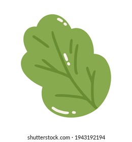 Vector illustration of a green leaf with streaks. Cute leaf isolated on a white background