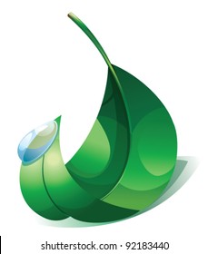 Vector illustration of green leaf and water drop.