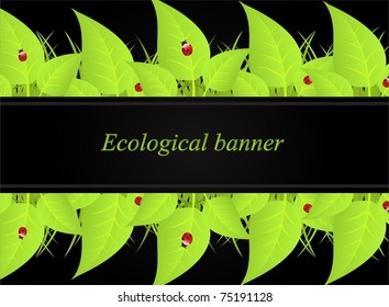 vector illustration of green leafs and grass on black backdrop