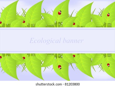 vector illustration of green leafs and grass