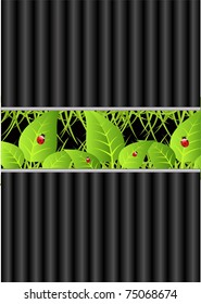 vector illustration of green leafs on striped abstract backdrop