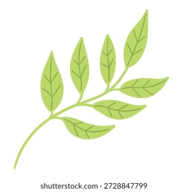 Vector illustration of a green leafy branch with simple flat design. Isolated botanical object.