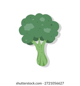 Vektorgrafik eines grünen Blattgemüses, eines grünen Blattbrokkoli einzeln auf weißem Hintergrund. Entworfen in einem niedlichen, minimalistischen, flachen Cartoon-Stil.